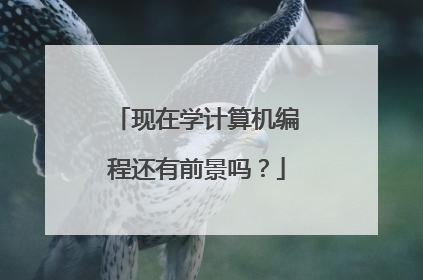 现在学计算机编程还有前景吗？