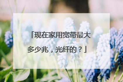 现在家用宽带最大多少兆,光纤的?