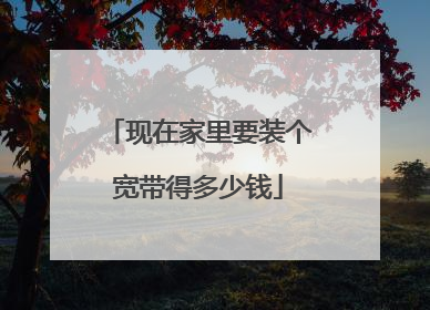 现在家里要装个宽带得多少钱