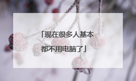 现在很多人基本都不用电脑了