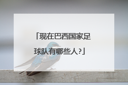 现在巴西国家足球队有哪些人?