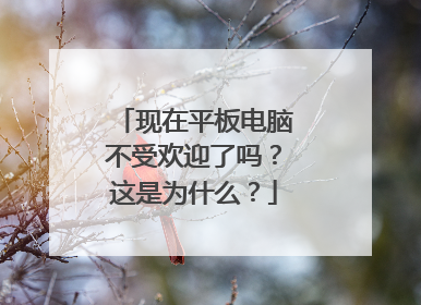 现在平板电脑不受欢迎了吗?这是为什么?