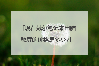 现在戴尔笔记本电脑触屏的价格是多少?