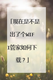 现在是不是出了个WIFI管家如何下载?