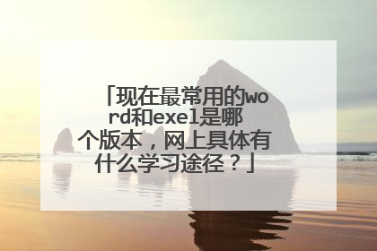 现在最常用的word和exel是哪个版本,网上具体有什么学习途径?