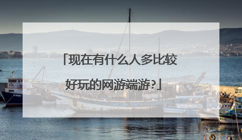 现在有什么人多比较好玩的网游端游?