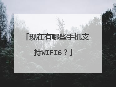 现在有哪些手机支持WIFI6？