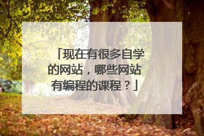 现在有很多自学的网站,哪些网站有编程的课程?