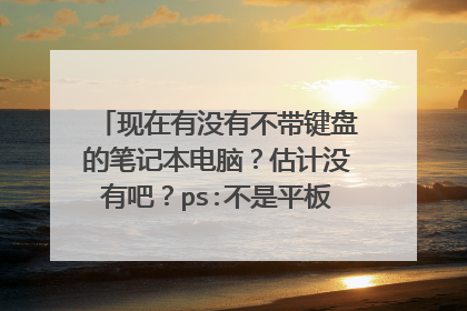 现在有没有不带键盘的笔记本电脑?估计没有吧?ps:不是平板电脑和超极本哪些