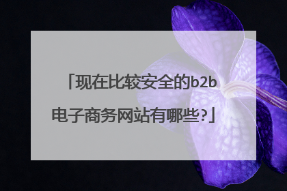 现在比较安全的b2b电子商务网站有哪些?