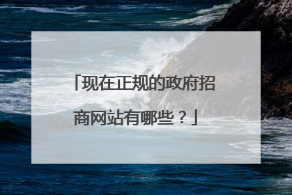 现在正规的政府招商网站有哪些?