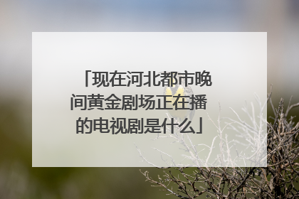 现在河北都市晚间黄金剧场正在播的电视剧是什么