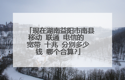现在湖南益阳市南县移动 联通 电信的 宽带 十兆 分别多少钱 哪个合算?
