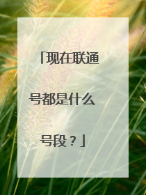 现在联通号都是什么号段?