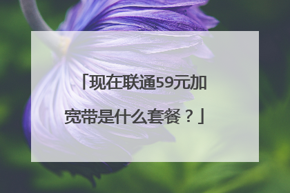 现在联通59元加宽带是什么套餐？