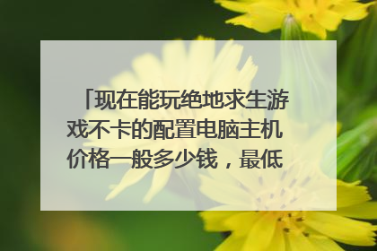 现在能玩绝地求生游戏不卡的配置电脑主机价格一般多少钱,最低大概多少钱?