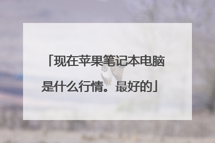 现在苹果笔记本电脑是什么行情。最好的