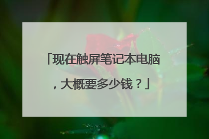 现在触屏笔记本电脑,大概要多少钱?