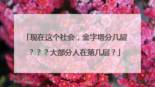 现在这个社会,金字塔分几层???大部分人在第几层?