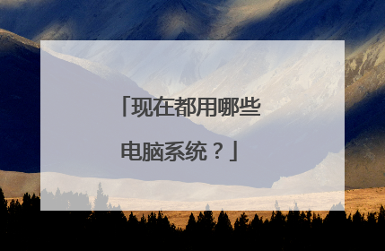 现在都用哪些电脑系统?