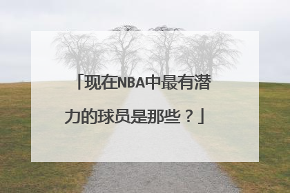 现在NBA中最有潜力的球员是那些？