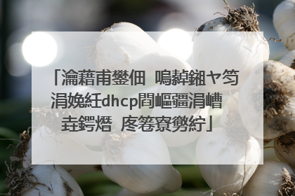 瀹藉甫鐢佃�嗚繛鎺ヤ笉涓婏紝dhcp閰嶇疆涓嶆垚鍔熸�庝箞寮勶紵