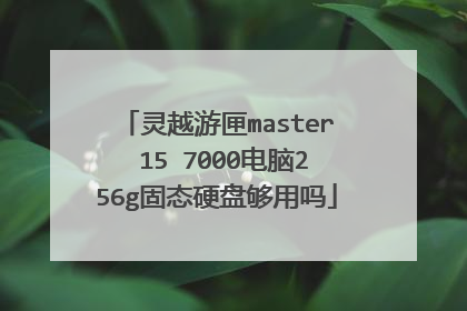 灵越游匣master 15 7000电脑256g固态硬盘够用吗