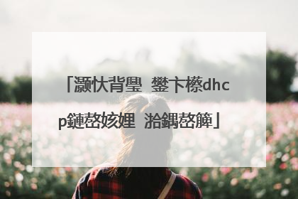 灏忕背璺�鐢卞櫒dhcp鏈嶅姟娌℃湁鍝嶅簲