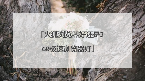 火狐浏览器好还是360极速浏览器好