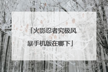 火影忍者究极风暴手机版在哪下