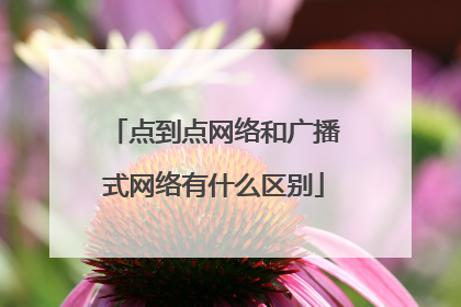 点到点网络和广播式网络有什么区别
