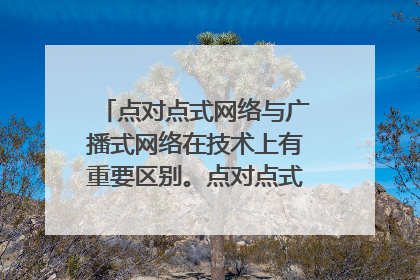 点对点式网络与广播式网络在技术上有重要区别。点对点式网络需要采用分组存储转发与（）