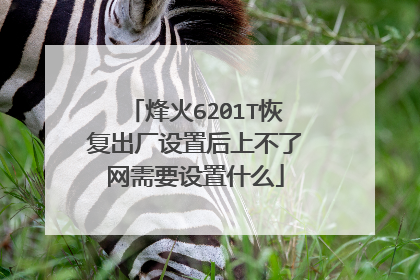 烽火6201T恢复出厂设置后上不了网需要设置什么