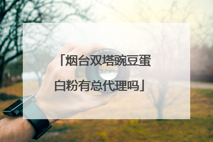 烟台双塔豌豆蛋白粉有总代理吗