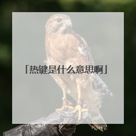 热键是什么意思啊
