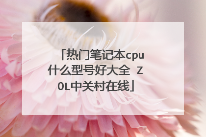 热门笔记本cpu什么型号好大全 ZOL中关村在线