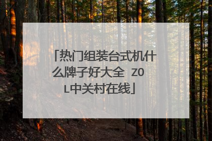 热门组装台式机什么牌子好大全 ZOL中关村在线