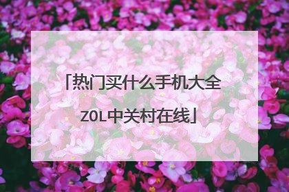 热门买什么手机大全 ZOL中关村在线