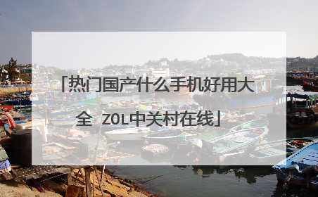 热门国产什么手机好用大全 ZOL中关村在线