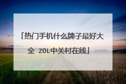 热门手机什么牌子最好大全 ZOL中关村在线