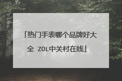 热门手表哪个品牌好大全 ZOL中关村在线