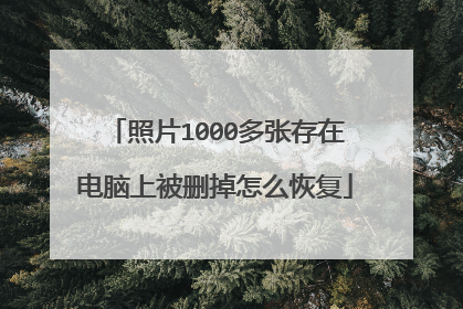 照片1000多张存在电脑上被删掉怎么恢复