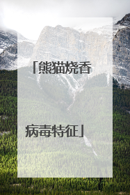 熊猫烧香病毒特征
