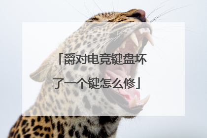 爵对电竞键盘坏了一个键怎么修