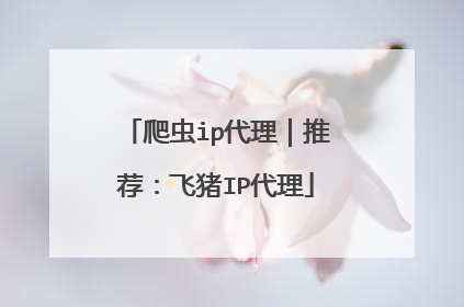 爬虫ip代理｜推荐：飞猪IP代理