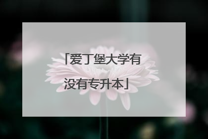 爱丁堡大学有没有专升本