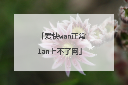 爱快wan正常lan上不了网