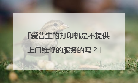 爱普生的打印机是不提供上门维修的服务的吗？