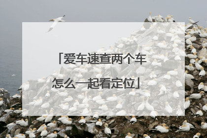 爱车速查两个车怎么一起看定位