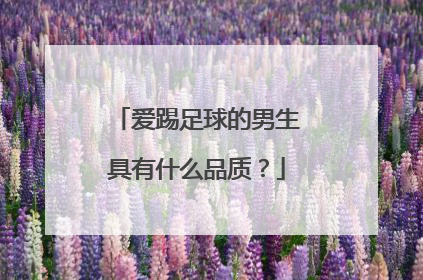 爱踢足球的男生具有什么品质？